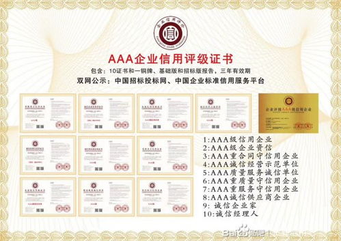 專(zhuān)業(yè)服務(wù)集成 AAA信用評(píng)級(jí)、國(guó)際認(rèn)證咨詢(xún)與檔案外包解決方案
