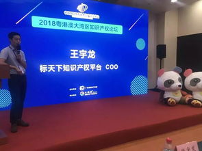 七弦琴 專利交易盛會(huì)中的知識(shí)產(chǎn)權(quán)服務(wù)新星