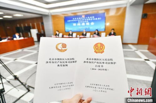 北京朝陽(yáng)法院發(fā)布涉外知識(shí)產(chǎn)權(quán)民事司法保護(hù)白皮書(shū) 提升服務(wù)能力，優(yōu)化營(yíng)商環(huán)境
